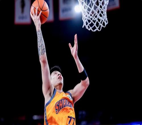 意甲最佳门,将多纳鲁马,助力米兰荣,开云体育,开云体育官网,开云体育app,开云体育平台,KAIYUN,SPORTS,kaiyun登录入口