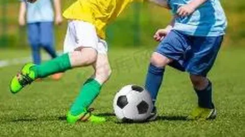 开云体育app在线 产品 092434 les