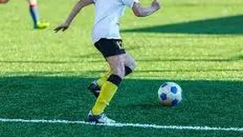 开云体育app在线 产品 092528 3dx