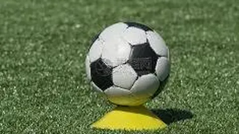 开云体育app在线 产品 085249 7pn