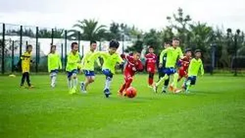 开云体育app在线 产品 085047 or6